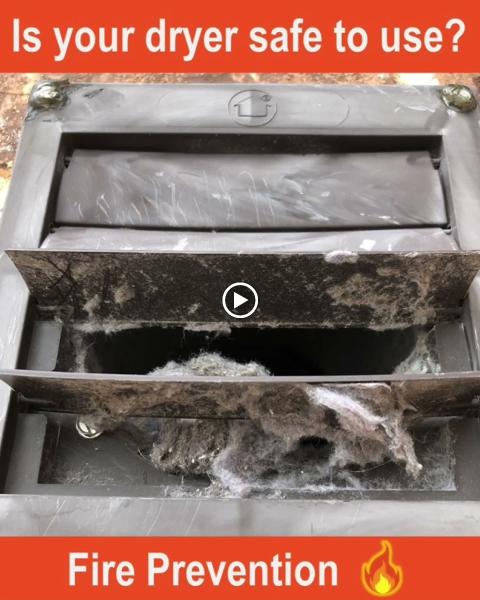 Servicebeaver Professional Handyman and Remodeling