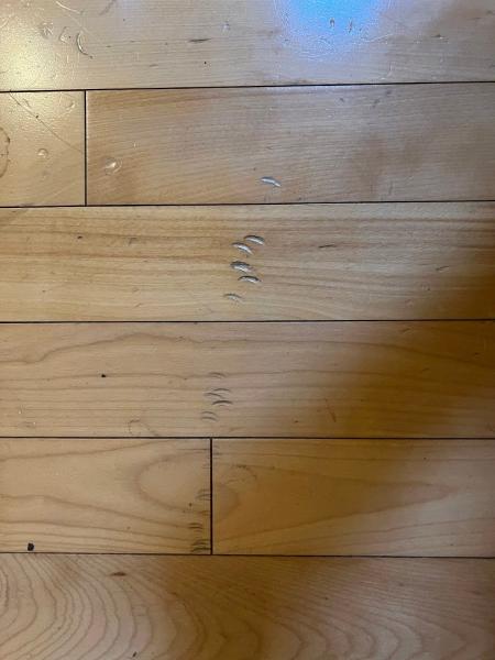 Mission City Flooring