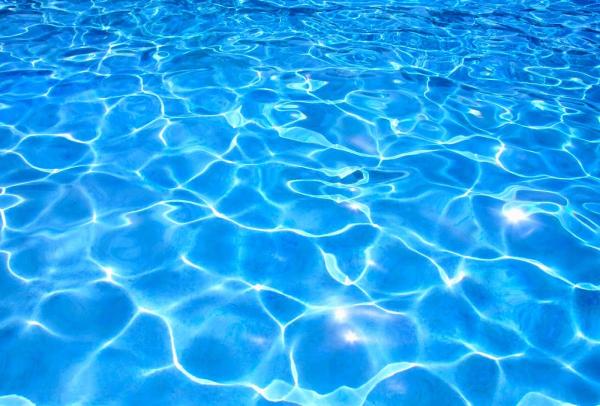 Ronny Snow's Pool Patrol