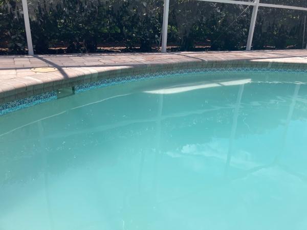 Ronny Snow's Pool Patrol