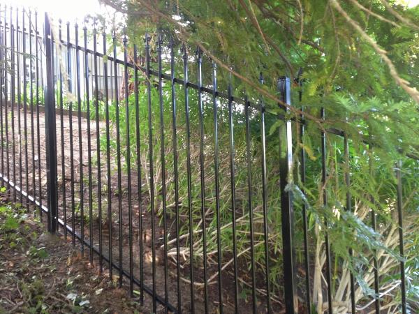 Reuben Borg Fence