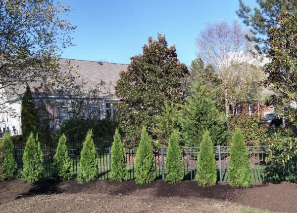 JML Landscape Management Inc