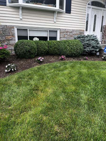Cglandscapeservicesinc