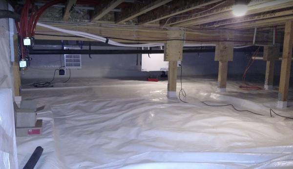 Dr. Crawlspace