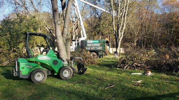 ADP Land Design and Tree Service