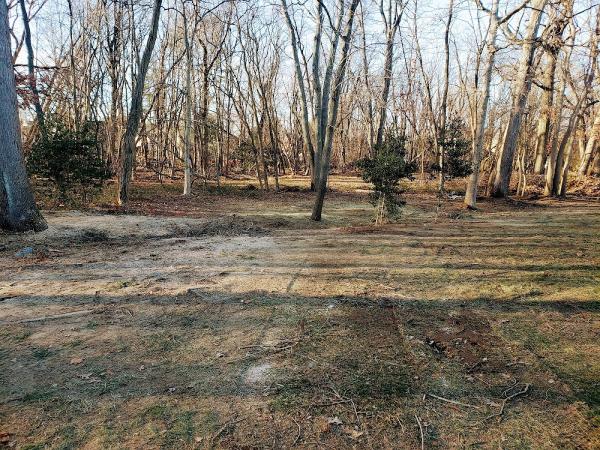 ADP Land Design and Tree Service