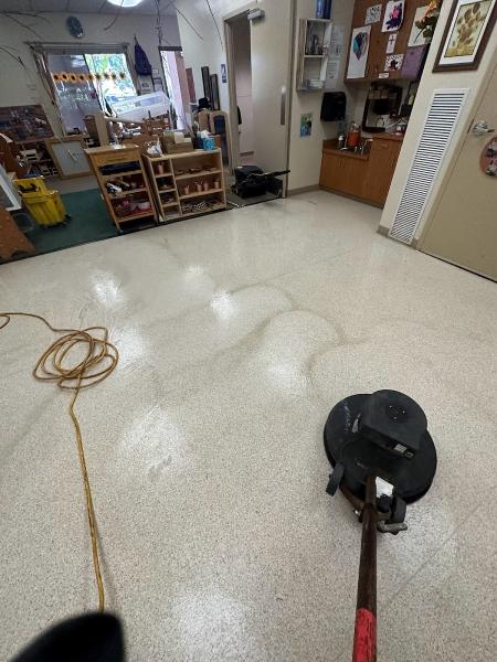 AVS Floorcare