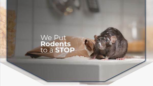 Rodents Stop