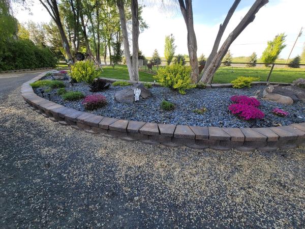 Jose's Lawn & Landscape
