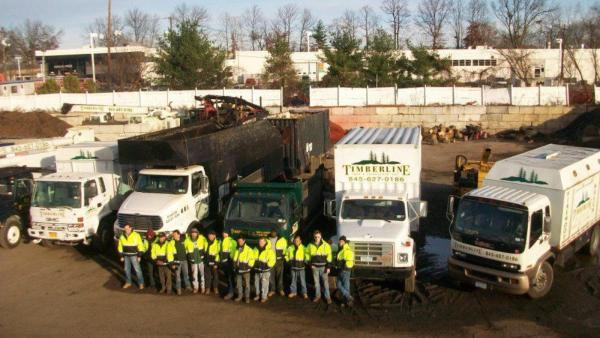 Timberline Tree & Landscape Inc.