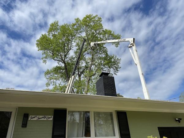 Bobcat Tree Service
