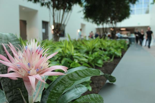 Care Plant Inc