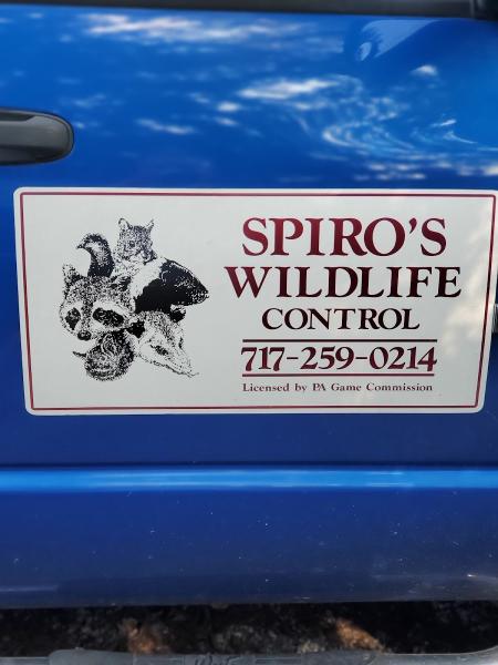 Spiro's Wildlife Control