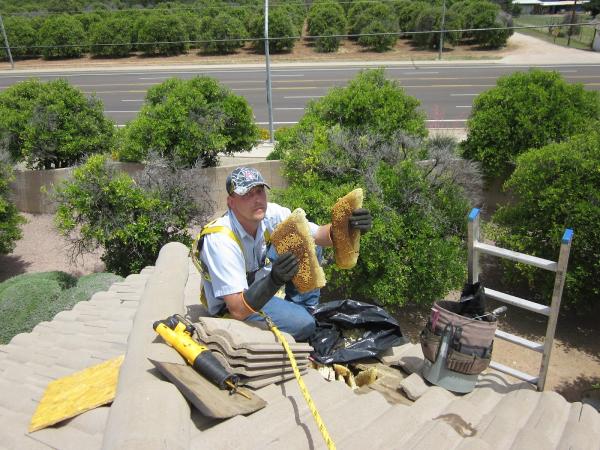 The Beekeeper Total Bee Control