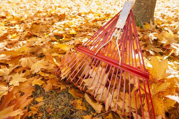 Abba Landscaping & Maintenance Inc