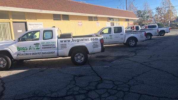 Bugs A to Z Pest Services
