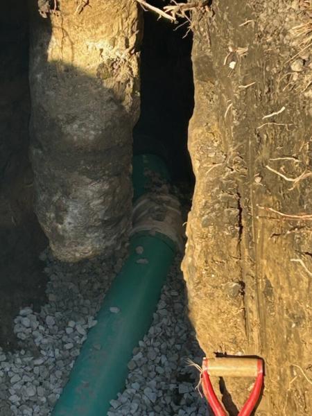 Walsh & Son Plumbing and Sewer