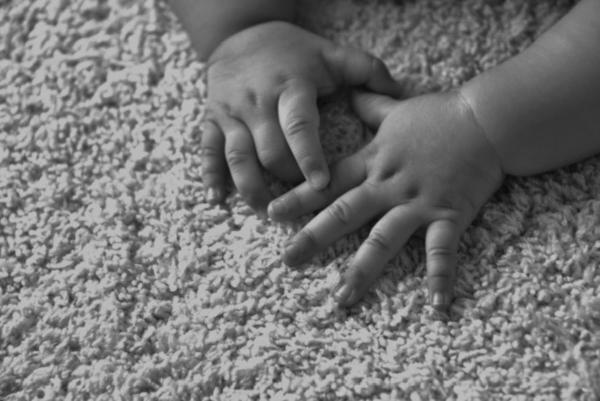 Haugland Brothers Carpet & Floor Care