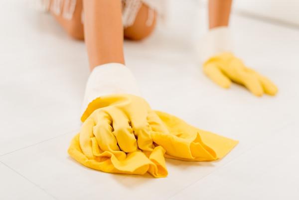 Spotless Rentals