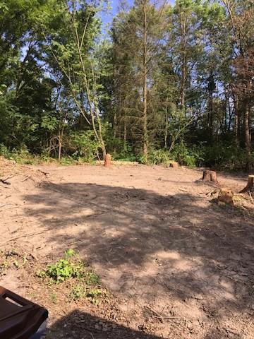 Shelton Excavating