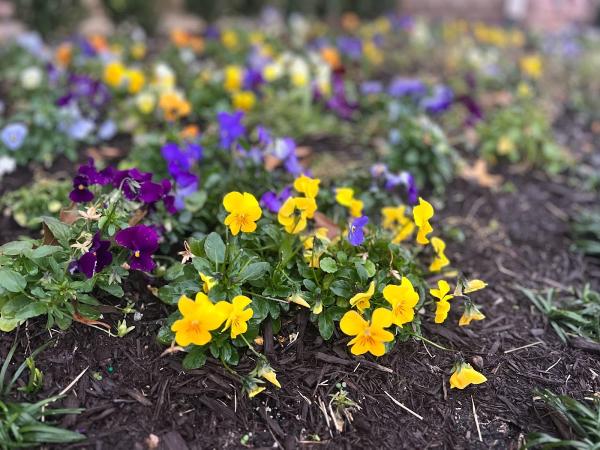 JD Landscape LLC