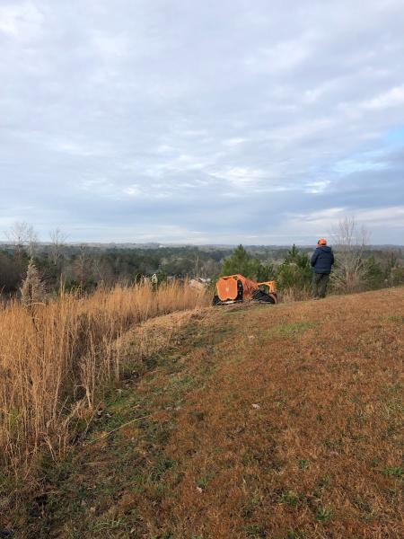 Scenic City Stump Grinding