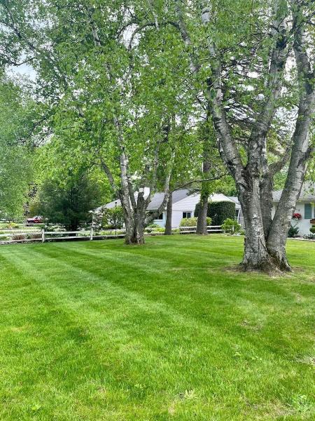 Pay Per Cut Lawncare