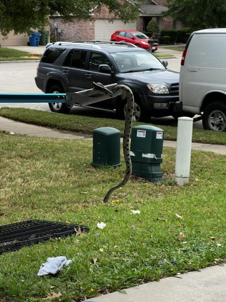 Preferred Pest Management