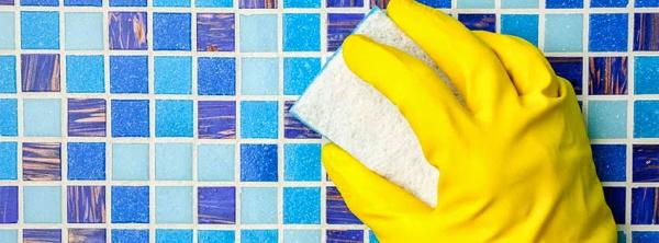 Carvalho's Cleaning
