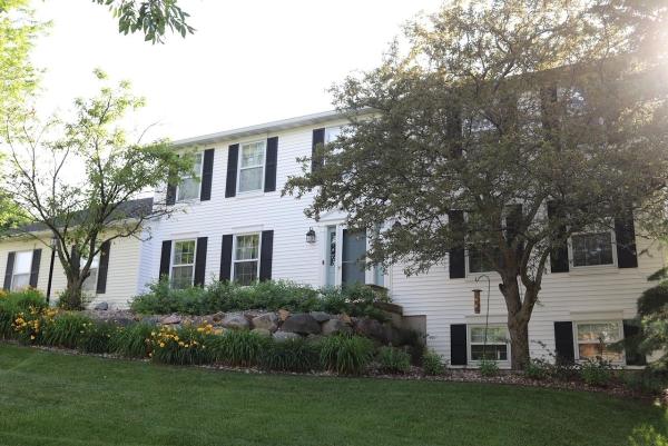 Schiek Finishes & Design Inc