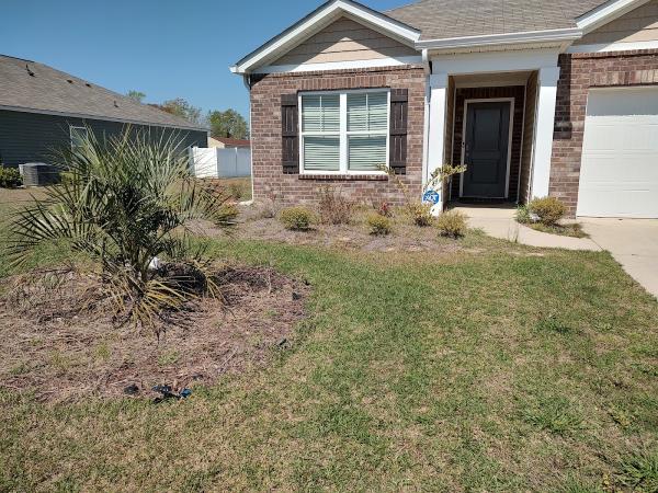 Native Lawn Service