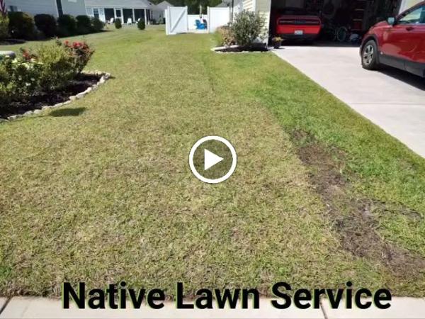 Native Lawn Service