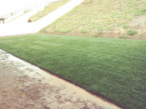 Leafwise Landscape LLC