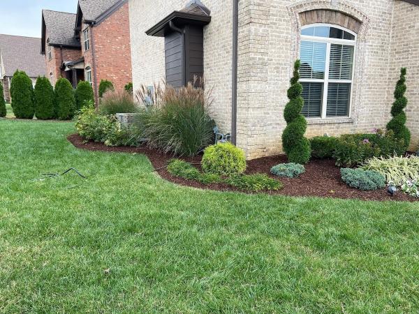 Black Bear Landscaping and Hardscapes