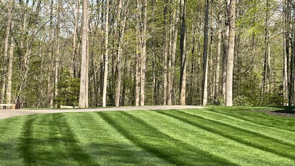 On the Green