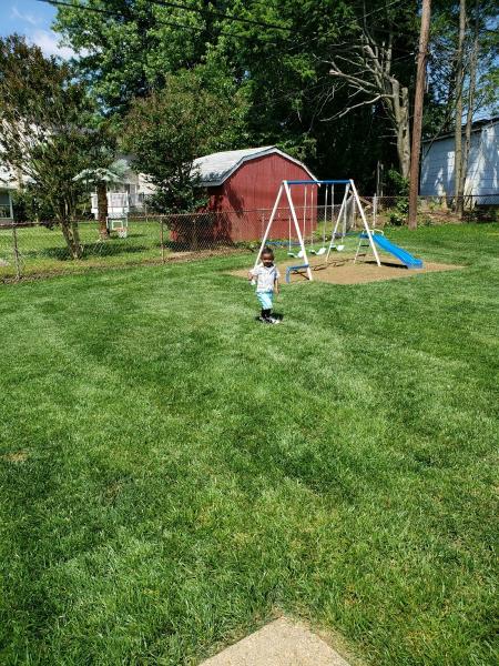Charae Landscaping