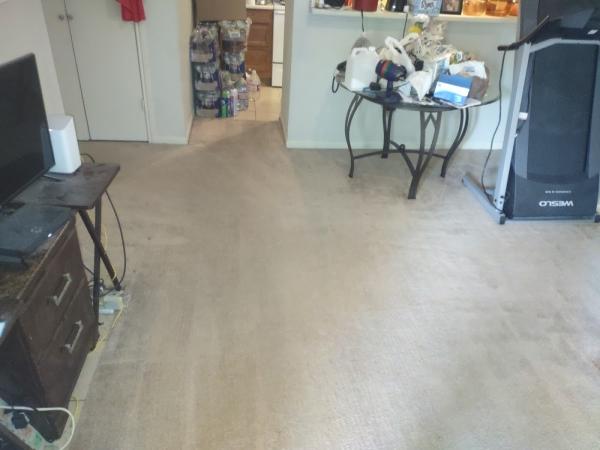 Tex A Clean Carpet Care Spring TX
