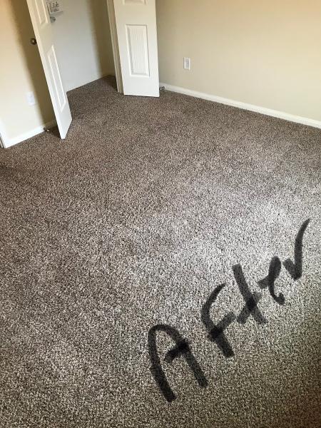 Tex A Clean Carpet Care Spring TX