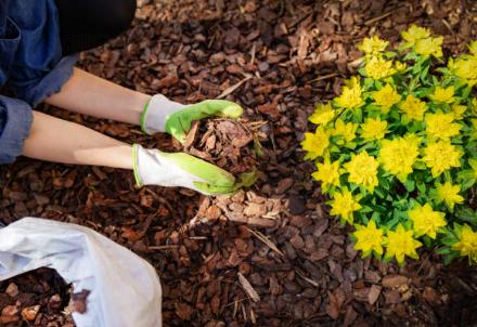 Permascapes Landscaping