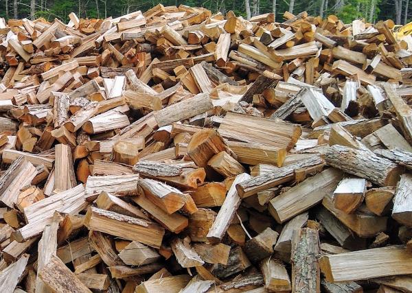 Healey Tree Works LLC