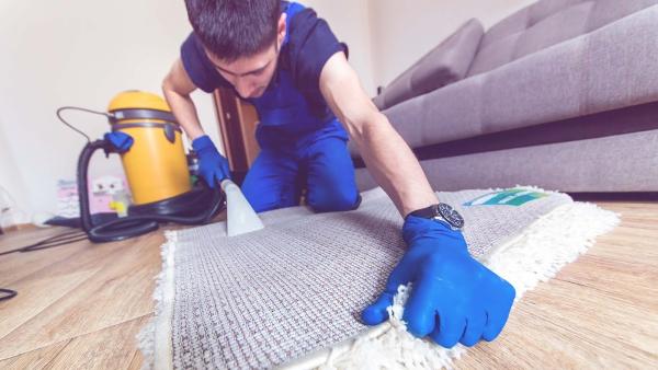 New Day Carpet Cleaners
