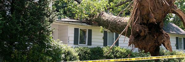 Coastal Construction Roofing & Restoration