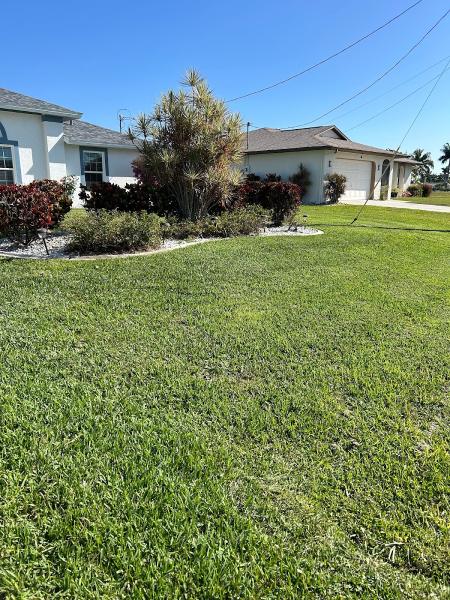 Sherlock Homes Pest Control & Irrigation