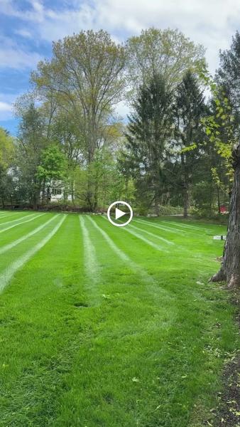 Sullivan & Son Land Management