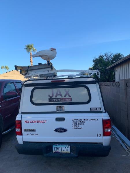 JAX Pro Pest Control