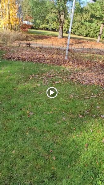 Lorenzo's Landscaping & Tree Service LLC
