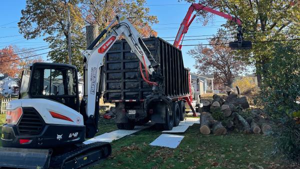 Ryan's Tree Service