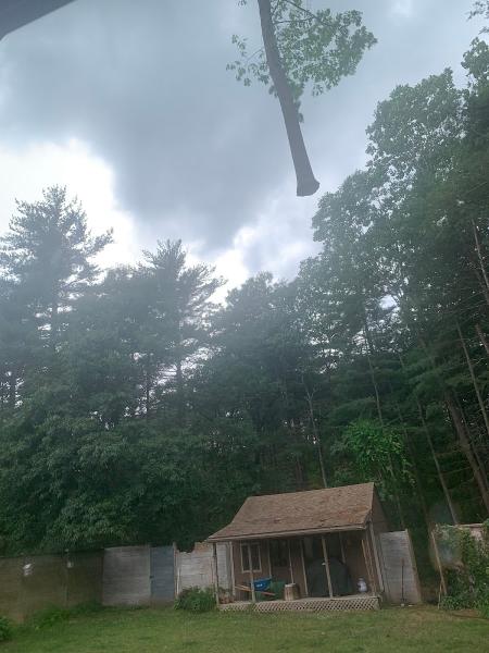 Ryan's Tree Service