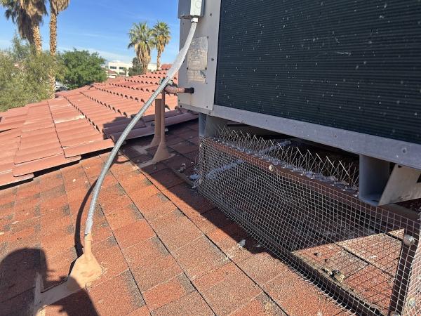 Essential Pest Control