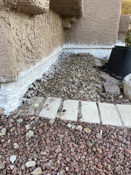 Essential Pest Control